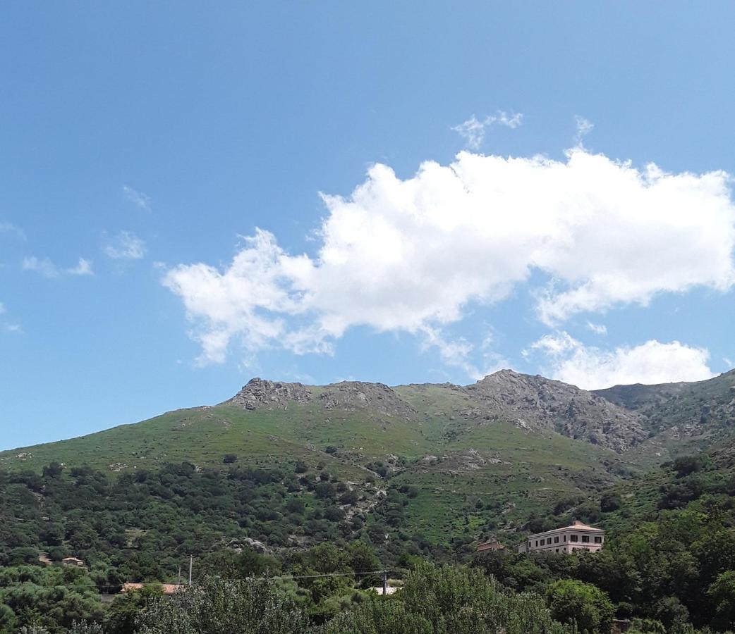 U Canale1 Sejour Calme Et Paisible Entre Mer Et Montagne. Ville-di-Paraso Εξωτερικό φωτογραφία